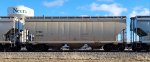 TCMX 309551
